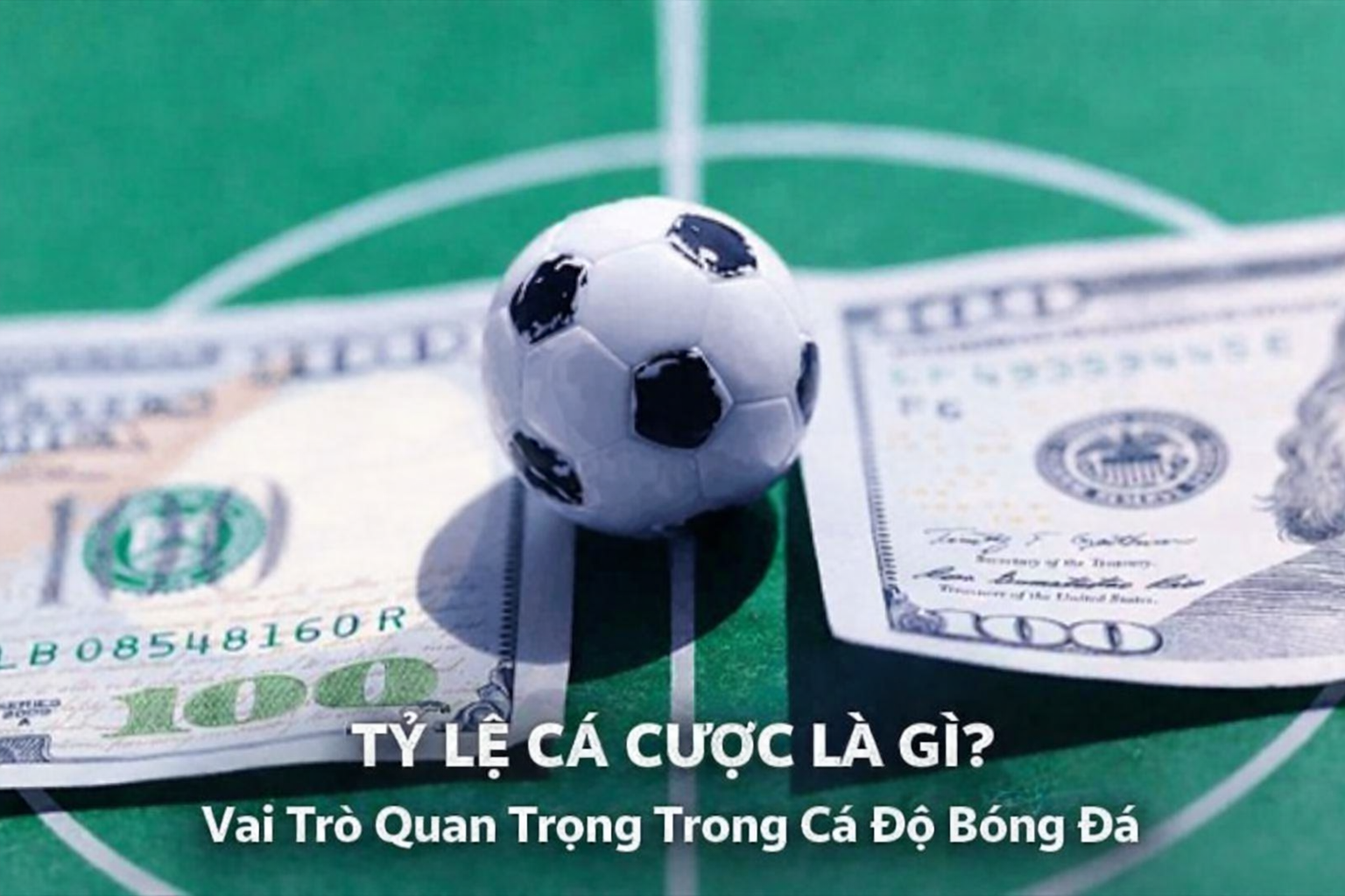 Tỷ Lệ Cá Cược Là Gì? Vai Trò Quan Trọng Trong Cá Độ Bóng Đá