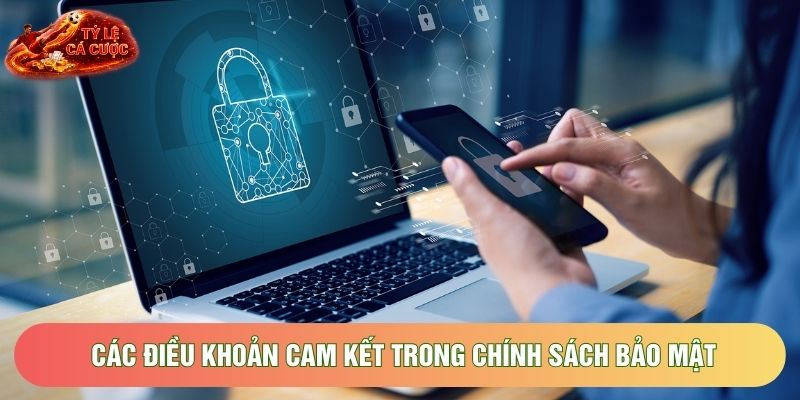 Các điều khoản cam kết trong chính sách bảo mật Các điều khoản cam kết trong chính sách bảo mật