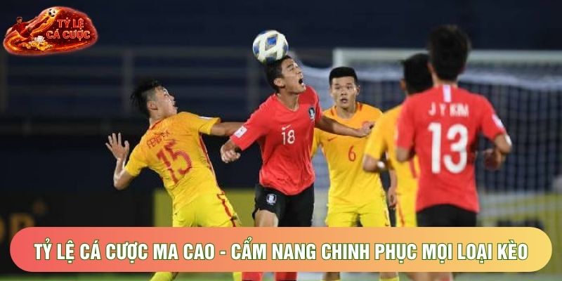 Tỷ Lệ Cá Cược Ma Cao - Cẩm Nang Chinh Phục Mọi Loại Kèo