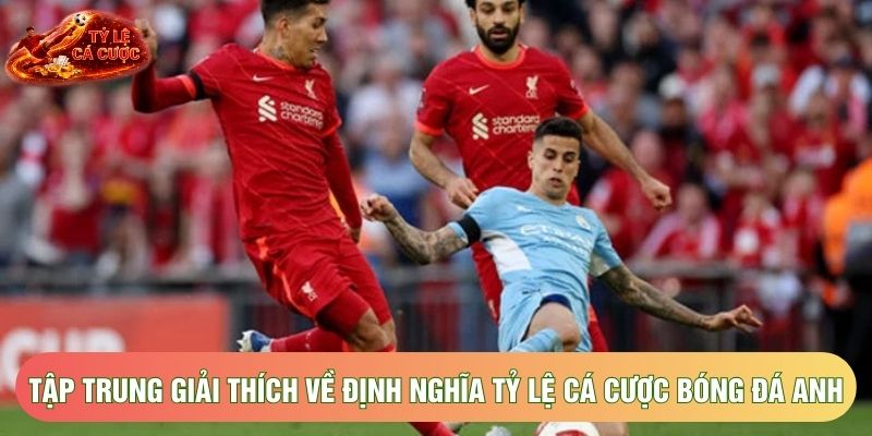 Tập trung giải thích về định nghĩa tỷ lệ cá cược bóng đá Anh