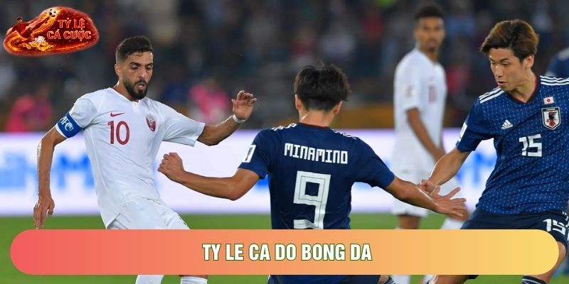 Ty Le Ca Do Bong Da: Các Hệ Thống Phổ Biến Nhất Hiện Nay